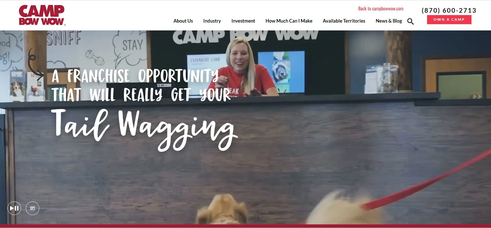 Camp Bow Wow